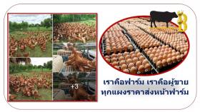 ไข่ไก่