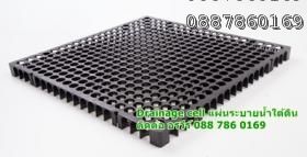 ขาย Drainage cell (Gi30) 0887860169