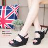 DF-M1764-BLK / BWN - รองเท้าส้นเตารีดรัดส้น