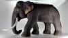 ขาย Woodelephant ช้างยืนธรรมดา