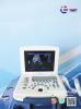 Dawei DW330