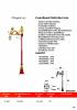 Arthid roong aroon solution dragon-013