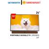 Skyworth 24LP6000G
