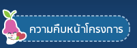 ความคืบหน้าโครงการ